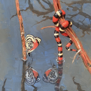 Reflexos