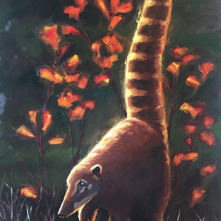 Quati
